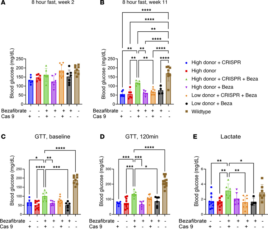 Correction of hypoglycemia.
Blood glucose after 8 hours fasting performe...