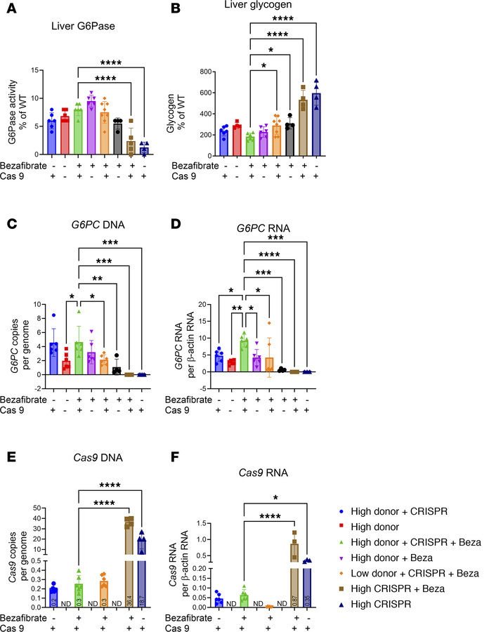 Endpoints for genome editing in the murine GSD Ia liver.
Donor-treated g...