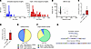 Characterization of editing outcomes by long-read PacBio sequencing.