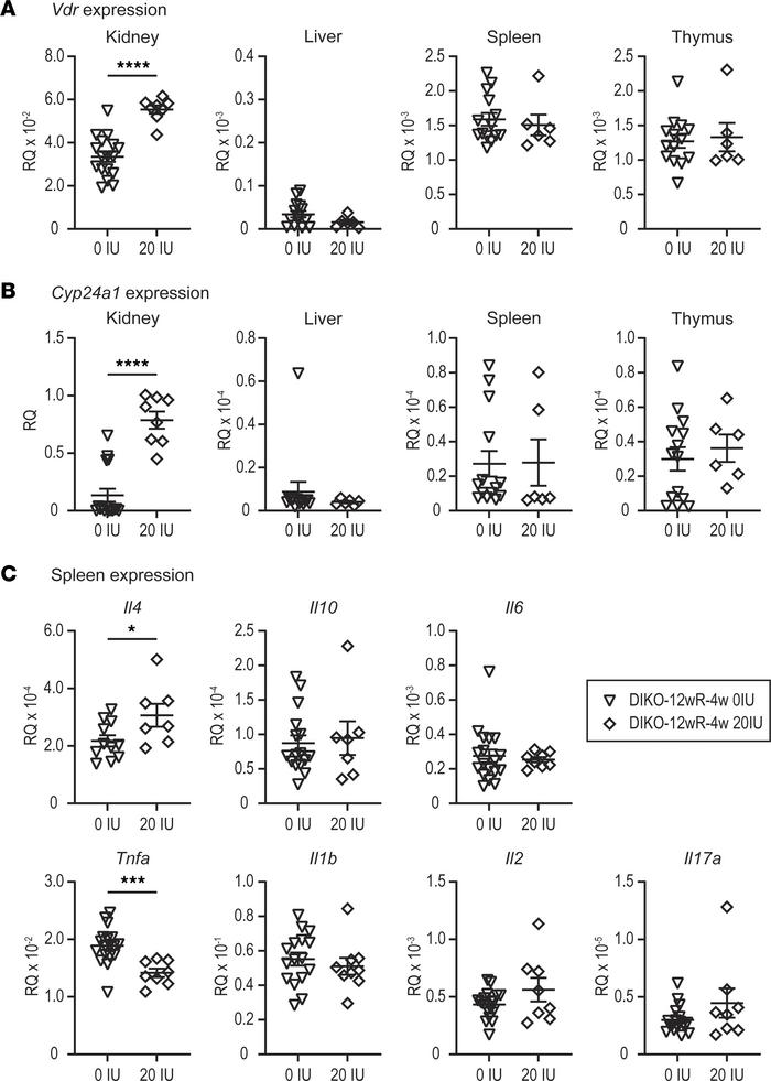 Gene expression changes in response to tissue elevations of 1,25(OH)2D3....