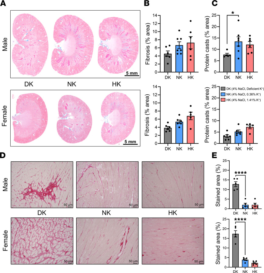Effects of dietary potassium on renal and cardiac damage in SS hypertens...