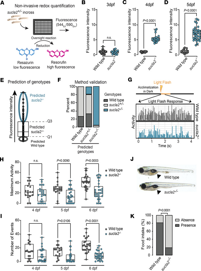 Noninvasive genotyping enables rapid profiling of light-evoked locomotio...