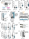 Noninvasive genotyping enables rapid profiling of light-evoked locomotion.