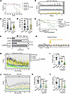 Sirt5 and NAD+ improve survival, spontaneous swimming, and LFR.