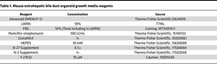 Mouse extrahepatic bile duct organoid growth media reagents