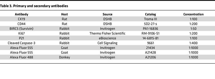 Primary and secondary antibodies