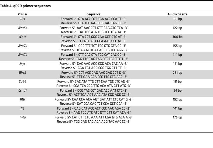 qPCR primer sequences