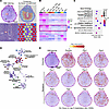 Enriched lipid-related pathways in PDZ during the embryo invasion phase.