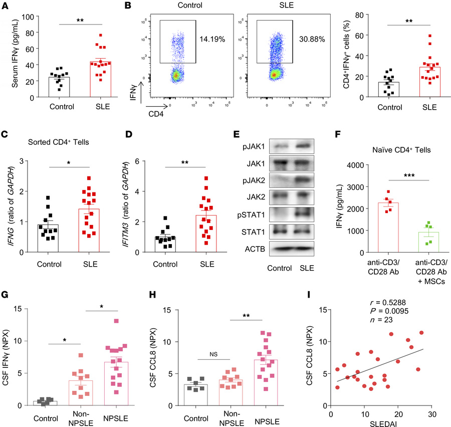Patients with SLE showed activation of the IFN-γ/JAK/STAT pathway and el...