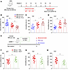 MSCT alleviates depression in MRL/lpr mice.