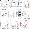Patients with SLE showed activation of the IFN-γ/JAK/STAT pathway and eleva