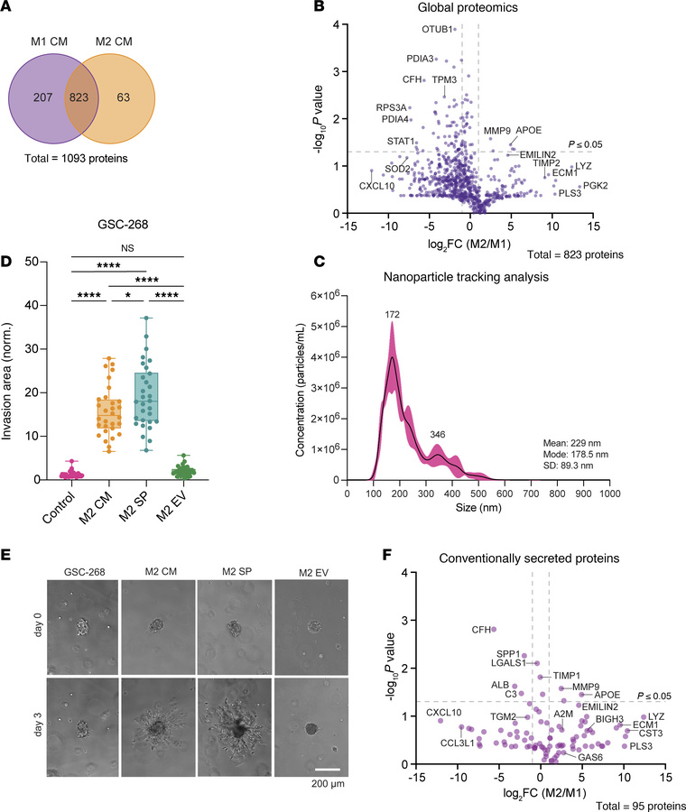 Mass spectrometry–based identification of macrophage-secreted proteins.
...