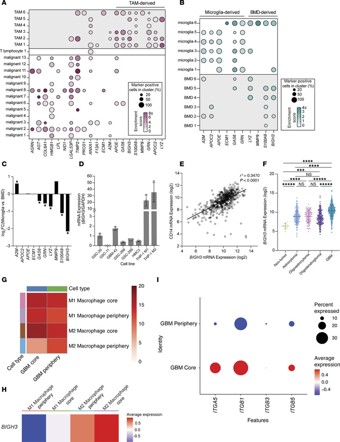 Integration of M2 macrophage–secreted ligands with published transcripto...