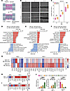 GSC transcriptional changes induced by M2 CM–mediated invasion.