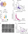 Mass spectrometry–based identification of macrophage-secreted proteins.