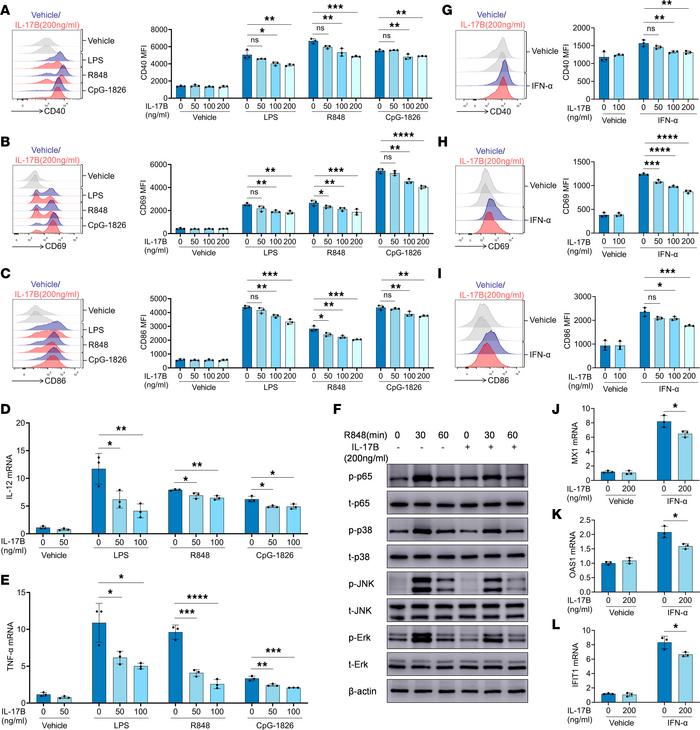 IL-17B inhibits B cell activation induced by TLRs and IFN-I pathways in ...