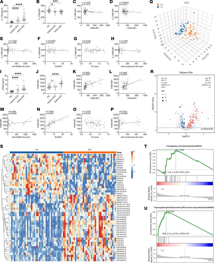 B cells in SLE patients express higher FASN and lower IL-17RB than those...