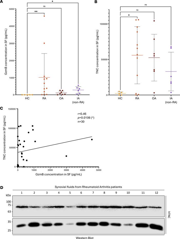 TNC fragments detected in patients with RA align with in silico predicti...