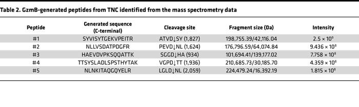 GzmB-generated peptides from TNC identified from the mass spectrometry data