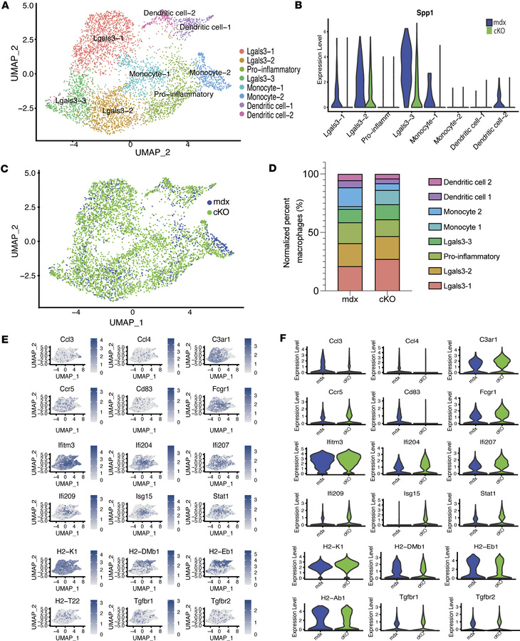 Monocytic cells show few phenotypic changes.
(A) UMAP plot shows unsuper...