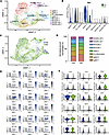 Monocytic cells show few phenotypic changes.