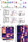 Sorted Lifr+ and Procr+ stromal cells demonstrate an enhanced adipogenic pr