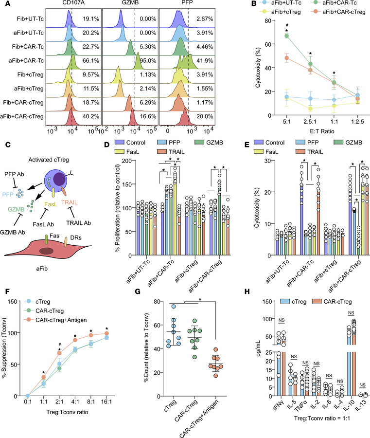 The cytotoxic and immunosuppressive properties of FAP1-specific CAR-cTre...