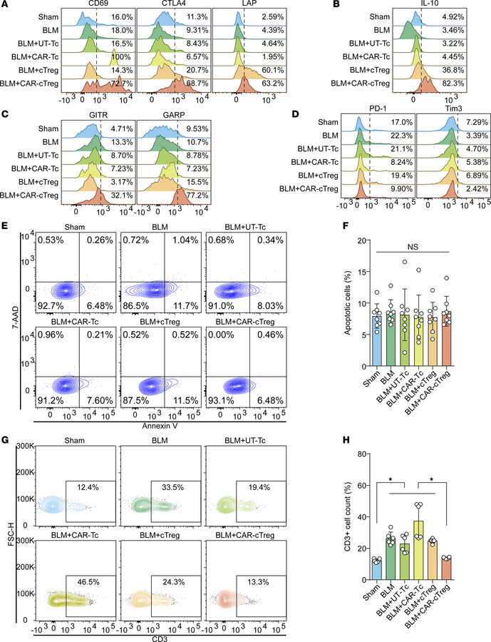Changes in the phenotype and polyfunctionality of CAR-cTregs in lung tis...