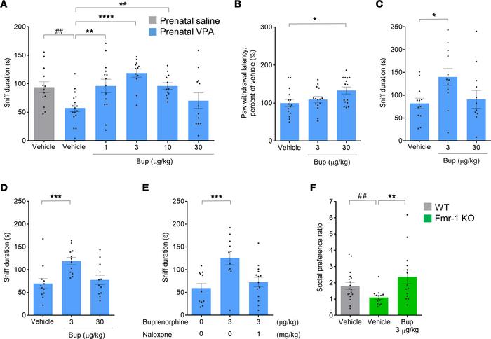 Low-dose buprenorphine increased social behaviors in VPA-treated and Fmr...