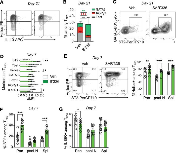 SAR’336 expands Helios+ST2+ Tregs in the pancreas.
(A) Representative fl...