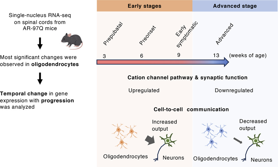 graphical abstract