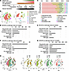 SnRNA-Seq of the spinal cords from AR-97Q and wild-type mice reveals cell t