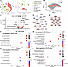 Genes associated with synaptic activity are upregulated at 6 weeks in AR-97