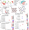 Genes associated with synaptic activity are downregulated at 13 weeks in AR