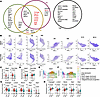 Top 20 DEGs in the oligodendrocytes of AR-97Q mice and wild-type mice in ea