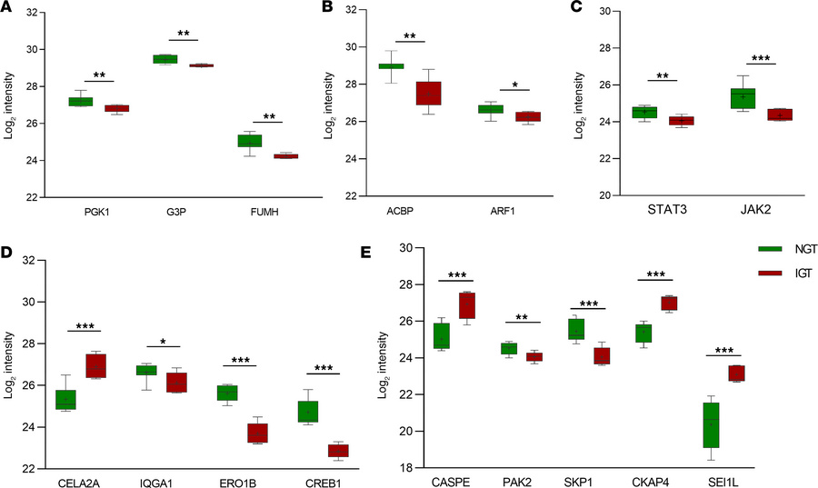 Differentially expressed proteins in IGT islets compared with NGT islets...