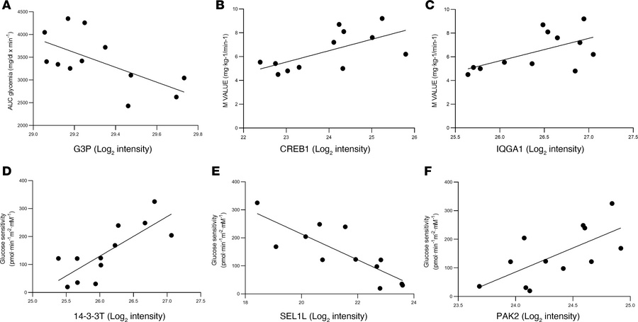 Correlation between expression of selected proteins and metabolic featur...