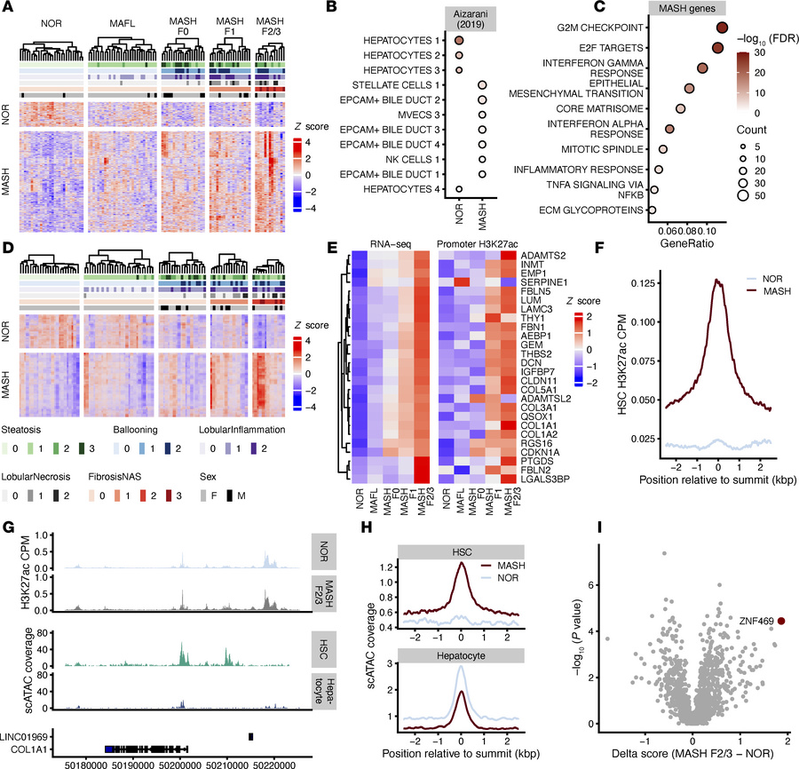 Integration of transcriptomics and cis-regulatory landscapes in human MA...