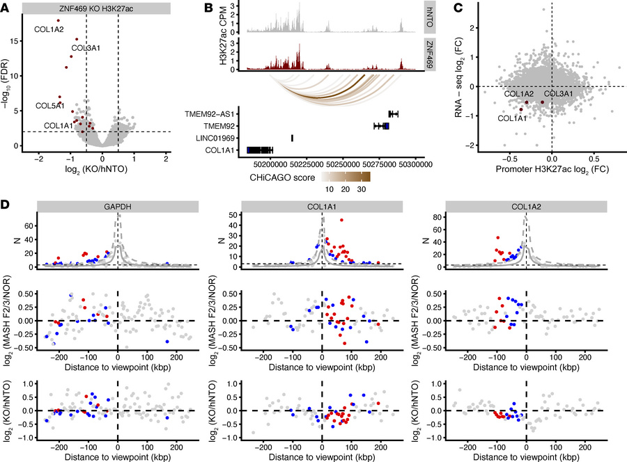 ZNF469 KO alters local chromatin structure at collagen and ECM loci in H...