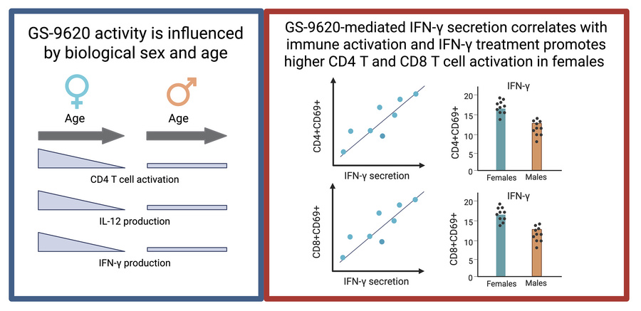 graphical abstract
