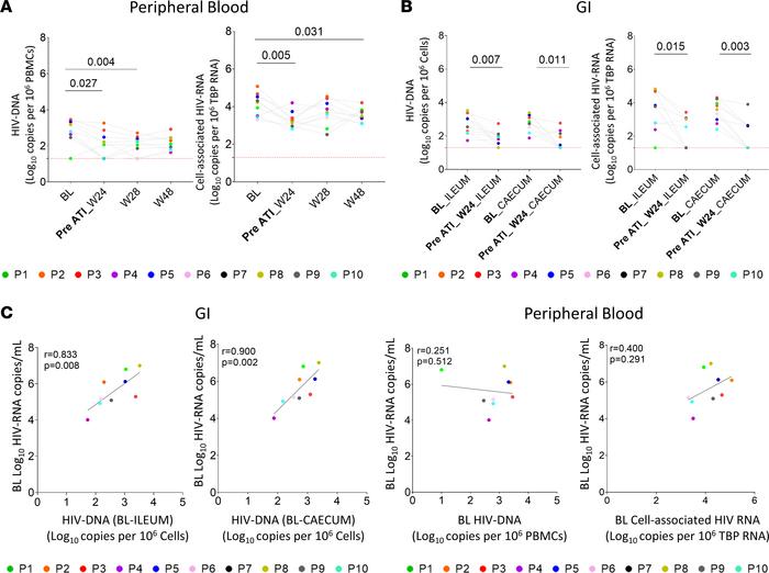 Dynamics of HIV-1 reservoir.
(A) Total cell-associated HIV-1 DNA and RNA...