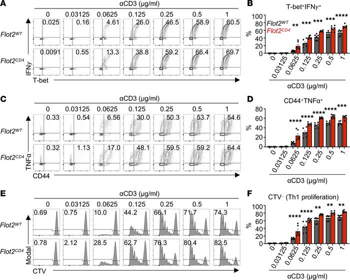Flot2 ablation promotes CD4+ T cell differentiation into Th1 upon weak T...