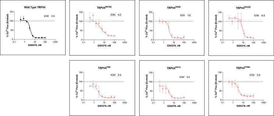 GSK2798745 broadly inhibits calcium influx in WT and gain-of-function (G...