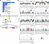 Trpv4 perichondrial cell differential gene expression indicates upregulatio