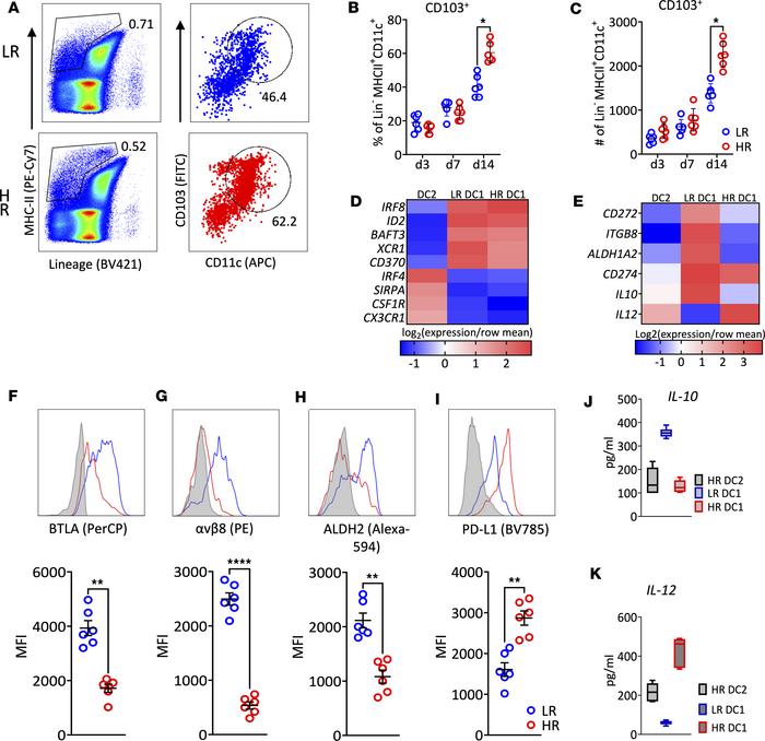 Migratory CD103+ DC1 in the DLN.
DLN from graft recipients (n = 6/group/...