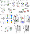 Immunostimulatory profile of migratory CD103 DC1.