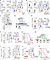 The effect of migratory CD103+ DC1 on tolerance.