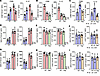 The effect of migratory CD103+ DC1 in modulating CD11b+ DC2 in the DLN and
