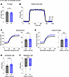 In vivo contractile function of 12-month-old male tibialis anterior muscle.