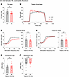 In vivo contractile function of 24-month-old female tibialis anterior muscl